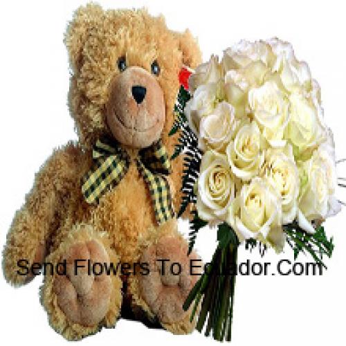 19 White Roses with 14 Inch Teddy