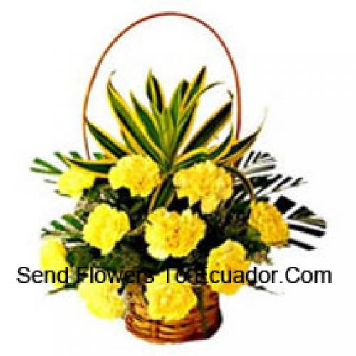 11 Elegant Yellow Carnations