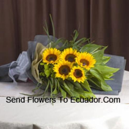 Handpicked Sunflowers Bunch